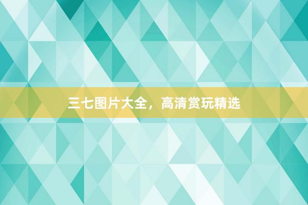 三七图片大全，高清赏玩精选